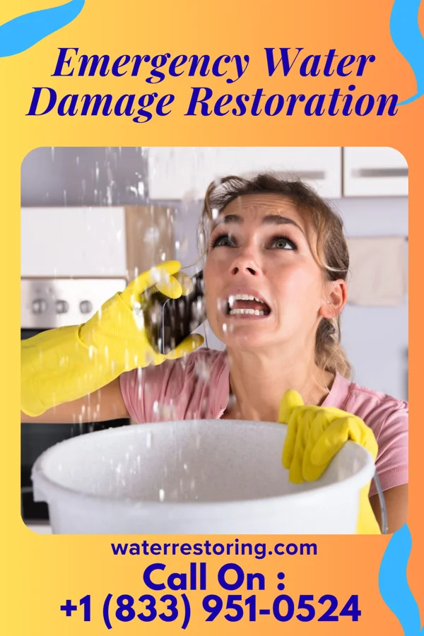Emergency Water Damage Restoration in Port Deposit, MD