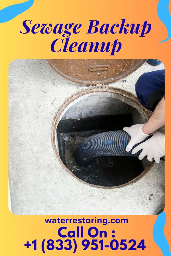 Sewage Backup Cleanup in Port Deposit, MD