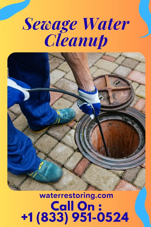 Sewage Water Cleanup in Port Deposit, MD