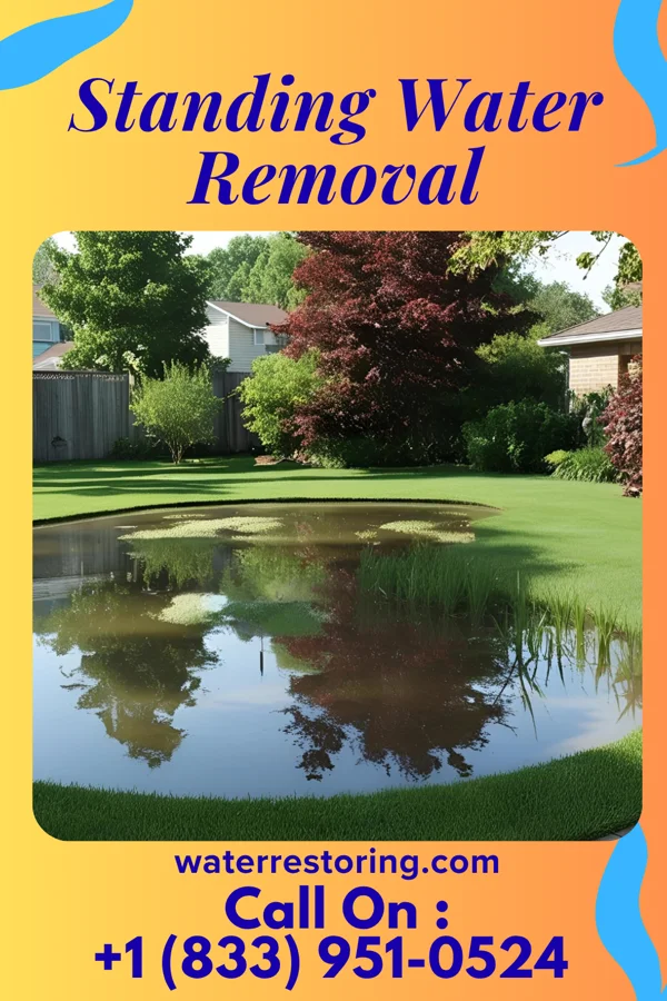 Standing Water Removal in Port Deposit, MD